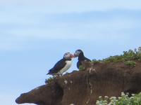17.06.2016: Wanderung bei Raudanes