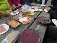 19.06.2016: Picknick vor der Wanderung zum Wasserfall Svartifoss 