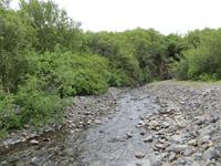 19.06.2016: Wanderung zum Wasserfall Svartifoss 