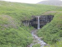 19.06.2016: Wanderung zum Wasserfall Svartifoss 