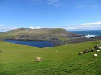 21.06.2016: auf den Westmänner Inseln