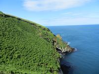 21.06.2016: auf den Westmänner Inseln