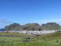 21.06.2016: auf den Westmänner Inseln