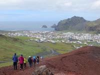 21.06.2016: auf den Westmänner Inseln - Wanderung auf dem Eldfell