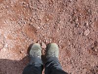 21.06.2016: auf den Westmänner Inseln - Wanderung auf dem Eldfell