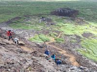 13.06.2016: Abstieg vom Kraterrand des Eldborg