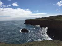 13.06.2016: Wanderung oberhalb der Steilküste bei Arnarstapi 