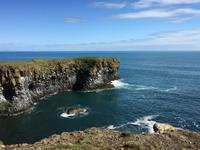 13.06.2016: Wanderung oberhalb der Steilküste bei Arnarstapi 