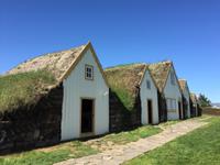 14.06.2016: Glaumbaer - Museumshof mit Grassodenhäusern 