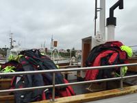 16.06.2016: Husavik - Walbeobachtungstour