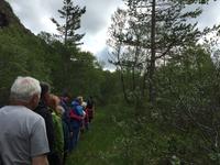 16.06.2016: Wanderung auf der Halbinsel Tjörnes zur hufeisenförmigen Schlucht Asbyrgi