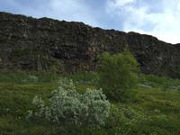 16.06.2016: Wanderung auf der Halbinsel Tjörnes zur hufeisenförmigen Schlucht Asbyrgi
