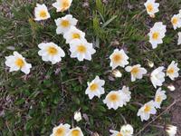 16.06.2016: Raufarhöfn oder das Ende Islands