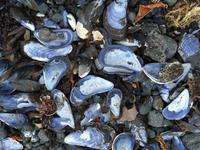 16.06.2016: Raufarhöfn oder das Ende Islands