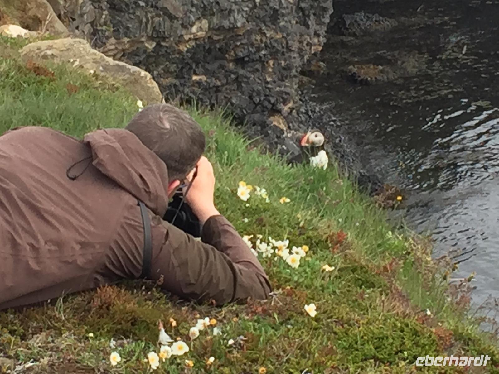 17.06.2016: Wanderung bei Raudanes - unser örtlicher Reiseleiter Harald