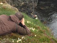 17.06.2016: Wanderung bei Raudanes - unser örtlicher Reiseleiter Harald