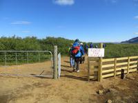 13.06.2016: Unsere erste Wanderung ... zum Kraterrand des Eldborg