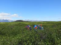 13.06.2016: Unsere erste Wanderung ... zum Kraterrand des Eldborg