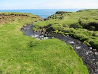 13.06.2016:  Wanderung oberhalb der Steilküste bei Arnarstapi 