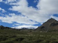 13.06.2016:  Wanderung oberhalb der Steilküste bei Arnarstapi 