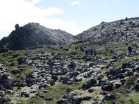 13.06.2016:  Wanderung oberhalb der Steilküste bei Arnarstapi 