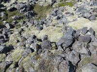 13.06.2016:  Wanderung oberhalb der Steilküste bei Arnarstapi 