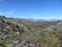 13.06.2016:  Wanderung oberhalb der Steilküste bei Arnarstapi 