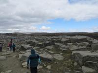 15.06.2016: Auf dem Weg zum Dettifoss