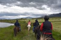 Akureyri - Islandpferd - Ausritt