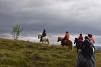 Akureyri - Islandpferd - Ausritt