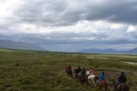 Akureyri - Islandpferd - Ausritt