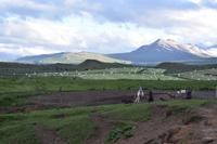 Akureyri - Islandpferd - Ausritt