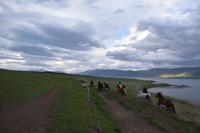 Akureyri - Islandpferd - Ausritt