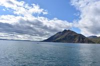 Walbeobachtung in Húsavík