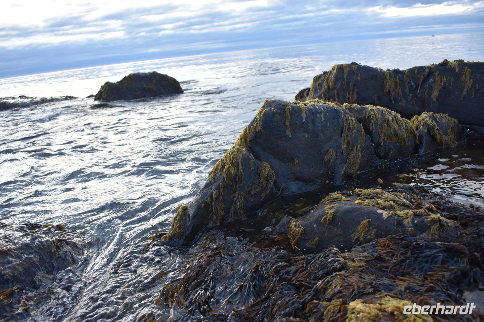 Halbinsel Melrakkaslétta 