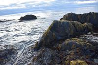 Halbinsel Melrakkaslétta 