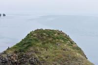 Raudanes - Papageitaucher 