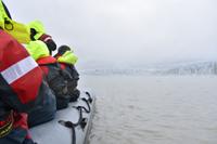 Fjallsarlon 