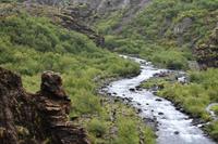 Glymur Wanderung