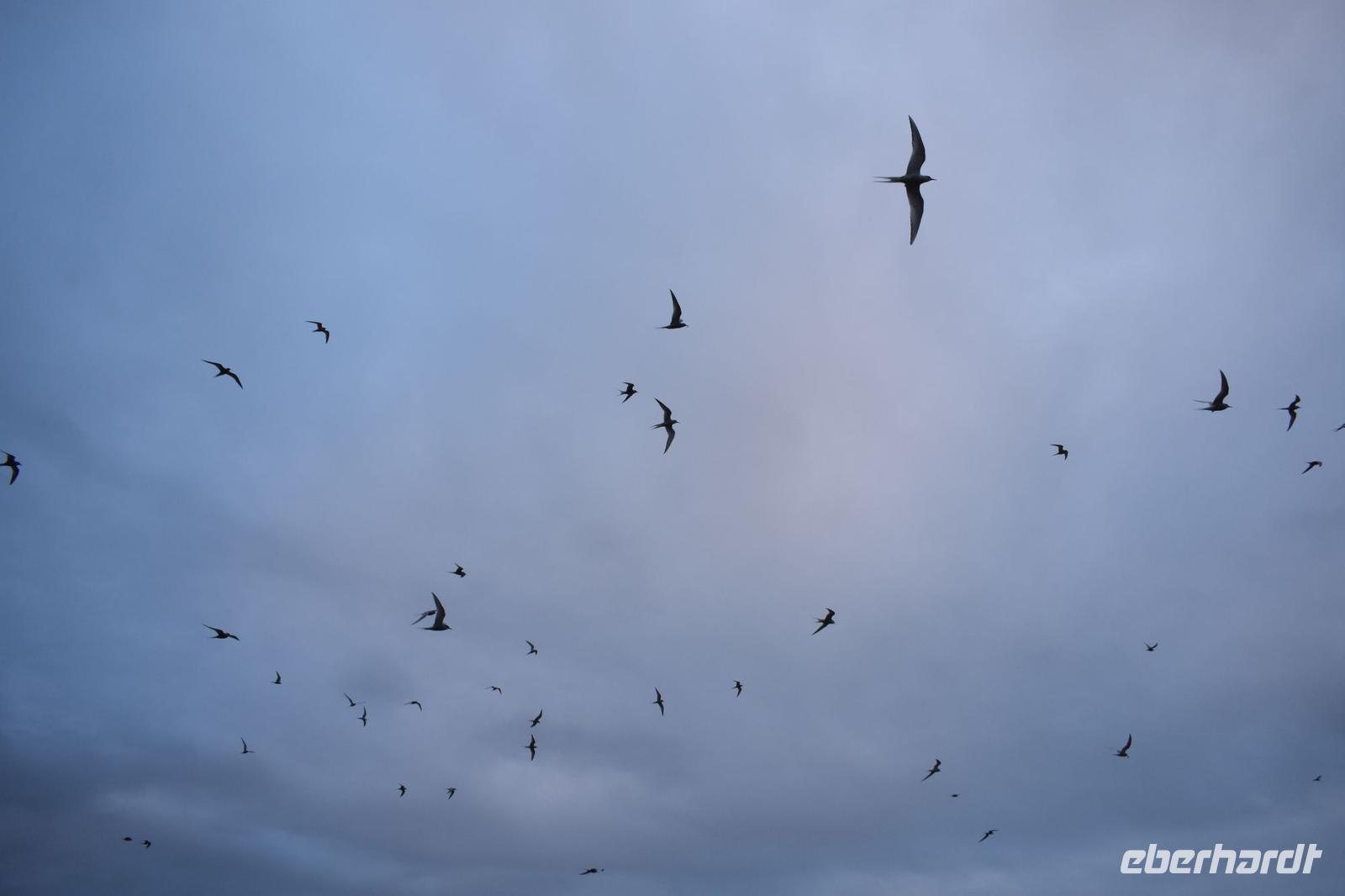 Snæfellsnes 