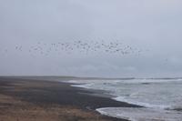 Snæfellsnes 