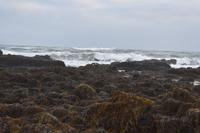 Snæfellsnes 