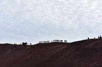 Vestmannaeyjar 