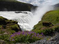 Goldener Kreis Rundreise Reisekombination Island und Grönland 