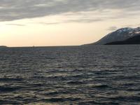 Walbeobachtung Hauganes - Dalvik - Rundreise Reisekombination Island und Grönland 
