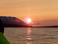 Walbeobachtung Hauganes - Dalvik - Rundreise Reisekombination Island und Grönland 