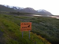 Walbeobachtung Hauganes - Dalvik - Rundreise Reisekombination Island und Grönland 