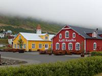 Dalvik - Akureyri - Island Pferde - Rundreise Reisekombination Island und Grönland 