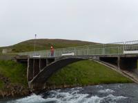 Dalvik - Akureyri - Island Pferde - Rundreise Reisekombination Island und Grönland 