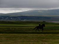 Dalvik - Akureyri - Island Pferde - Rundreise Reisekombination Island und Grönland 